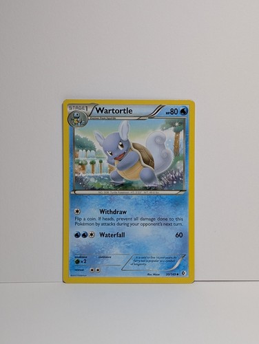 Wartortle 149 boundaries - wartortle,